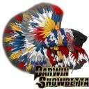 darwinshowbettas