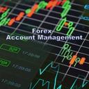 forexmgt