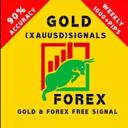 gold_fx_trading_oi