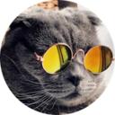 MEOW - KittySwap.org