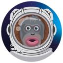 Monke Token | Community🐵🚀