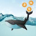 mrwhale_crypto