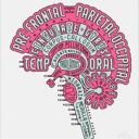 neuroscience_articles