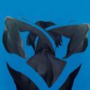 Nightwing